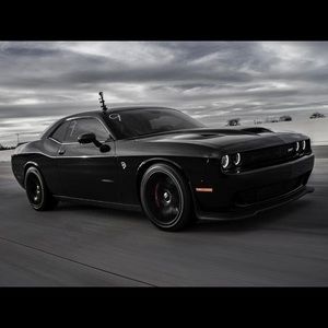 Meet your Posher, Troy